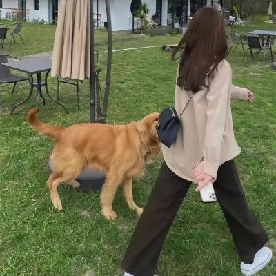 灭门惨案之孽杀